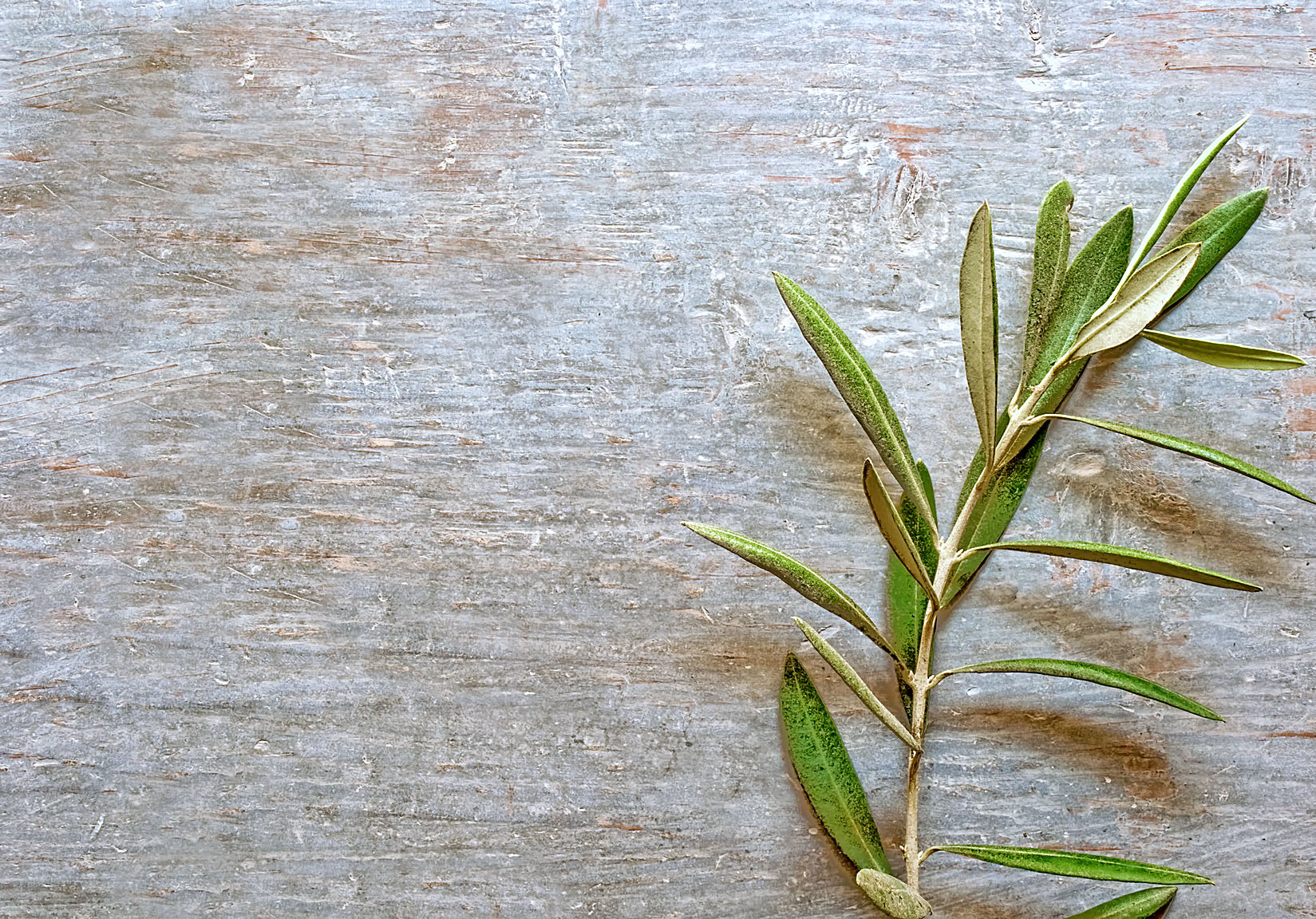 Image - Der Prophet und die Politik