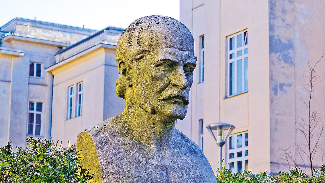 Image - „Der Retter der Mütter“