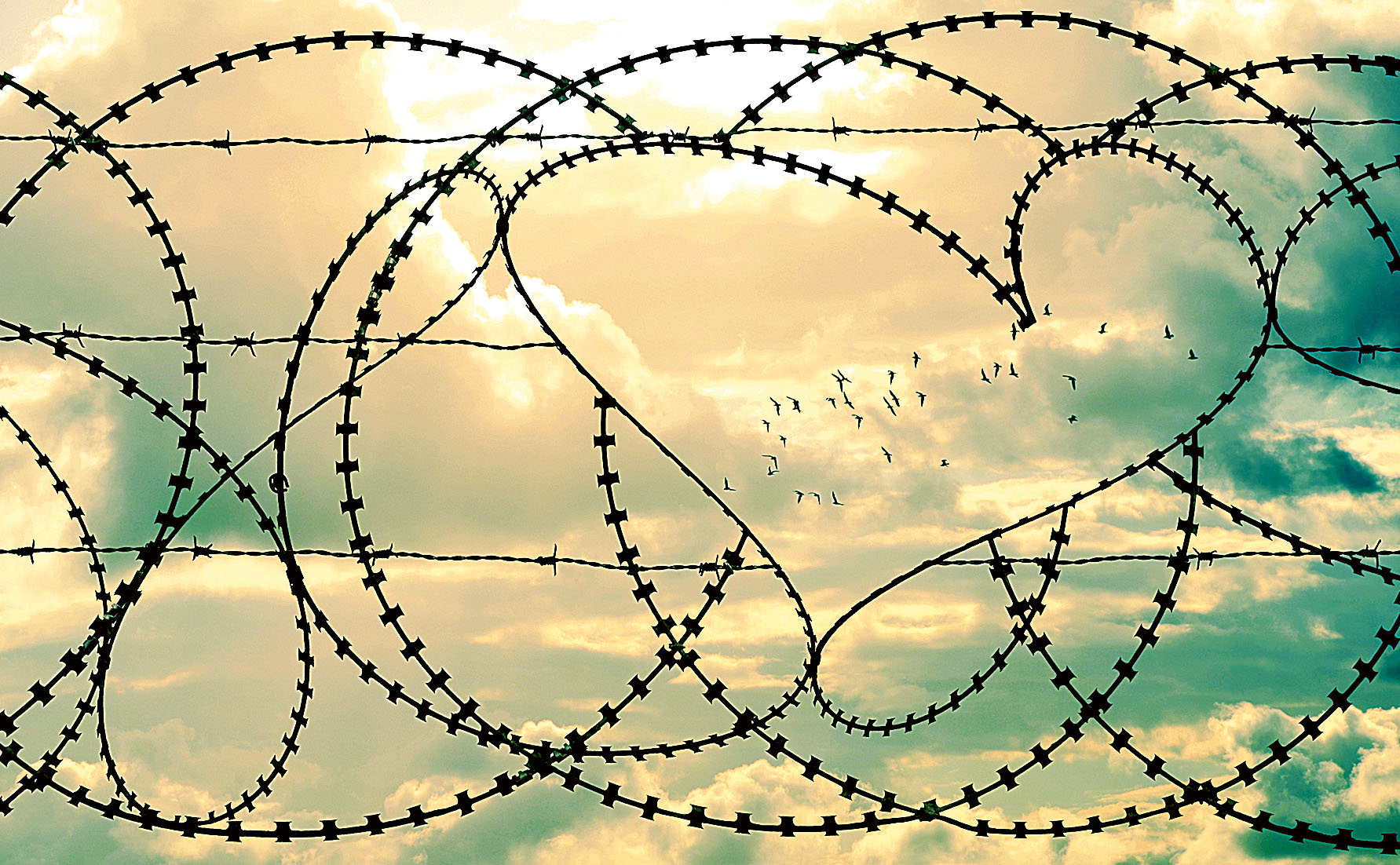 Image - Wann werden wir lernen?