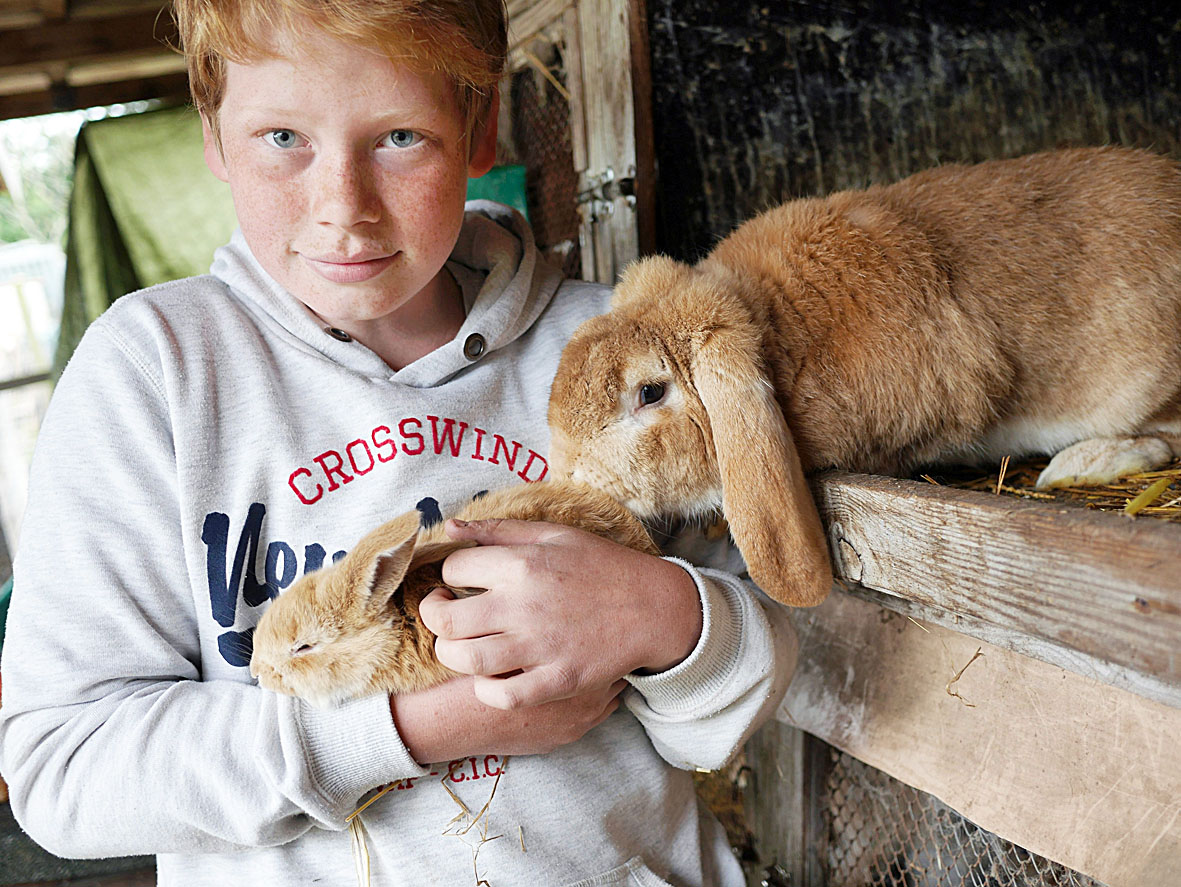 Image - Der junge Noah von der Elbe