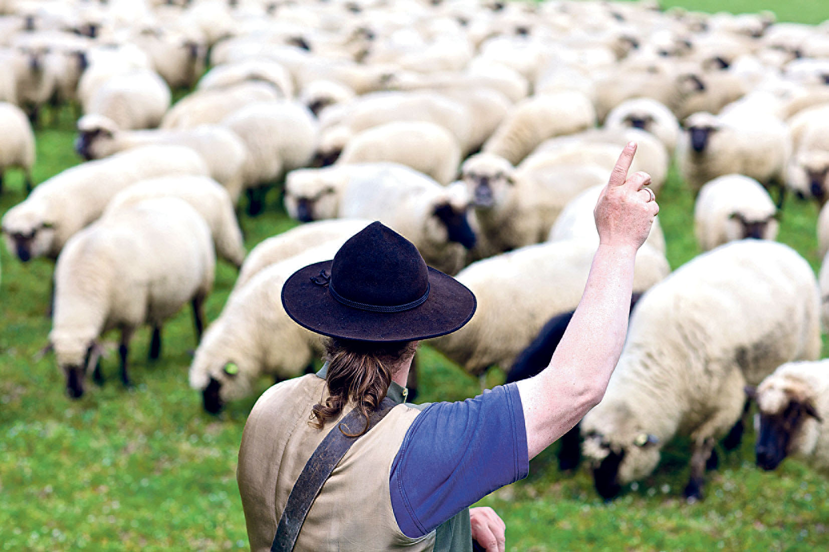 Image - Die Gerechtigkeit hüten