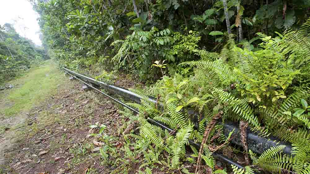 Image - Human Rights Watch: Ölpipeline in Afrika stürzt Tausende in Armut