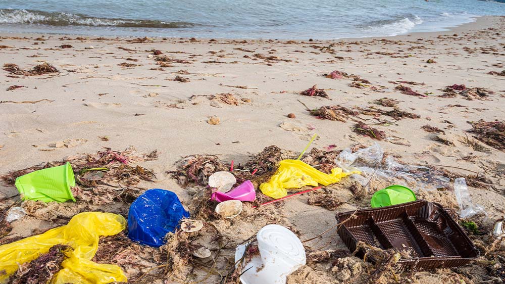 Weltweit lagert Plastikmüll an den Küsten