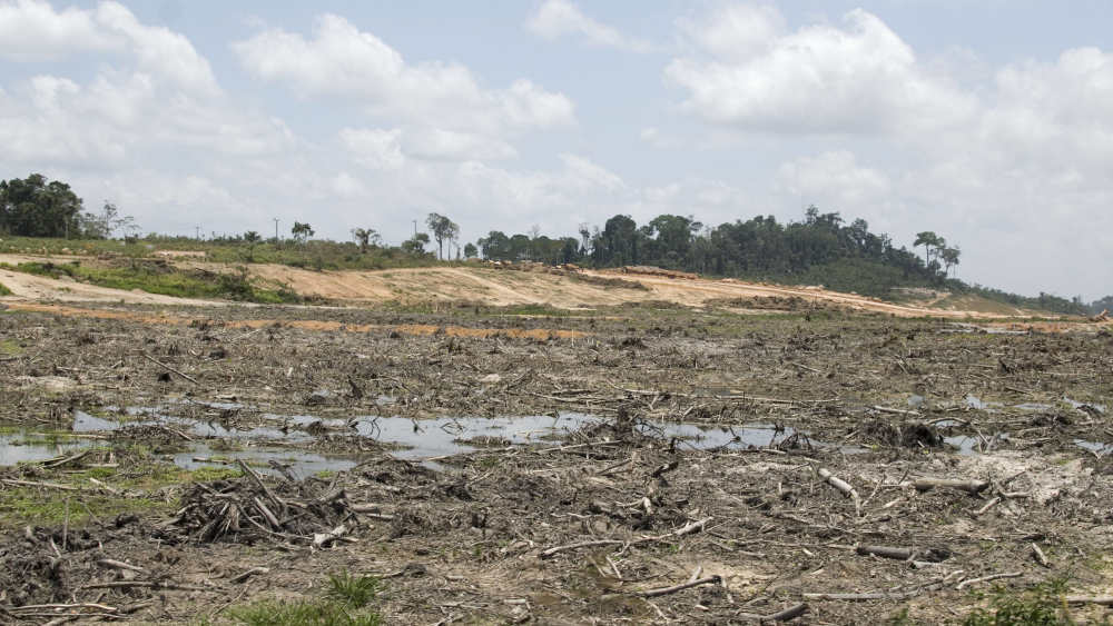 Der Bau des Belo Monte Staudamms in Vitoria do Xingu  trocknete ein 130 Kilometer langes Gebiet aus. Mehr als 55.000 größtenteils indigene Bewohner wurden vertrieben