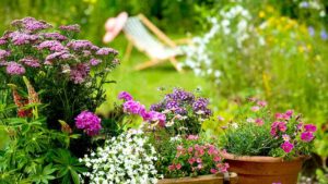Im Vordergrund stehen Pflanzkübel mit blühenden Blumen, dahinter sieht man einen Liegestuhl.