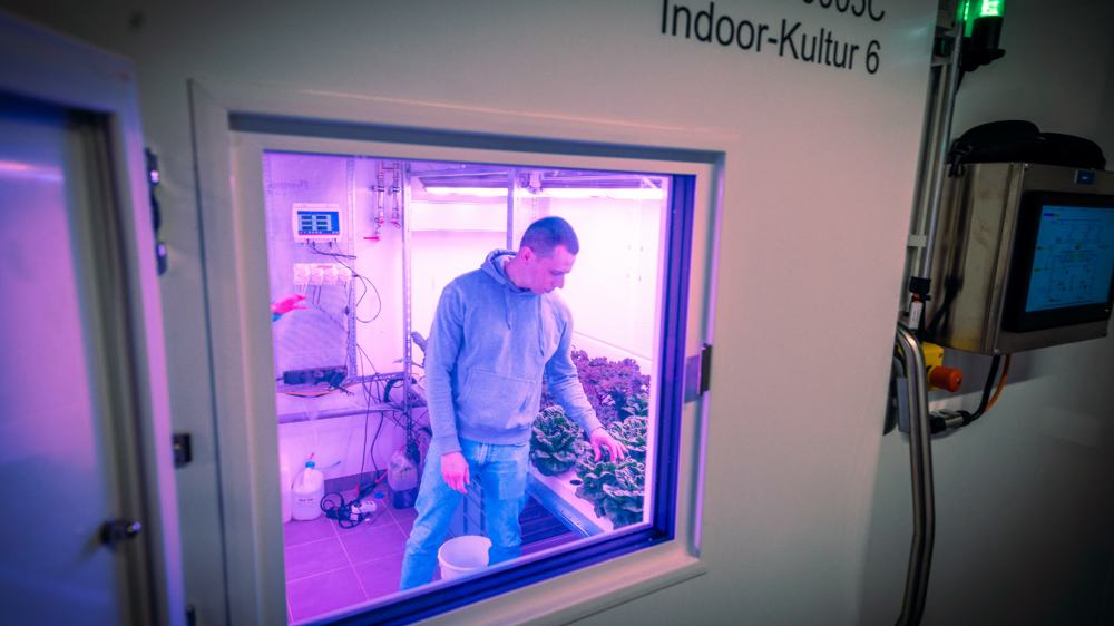 Ein wissenschaftlicher Mitarbeiter des Forschungszentrums "Agrarsysteme der Zukunft" in einer Anbau-Kammer