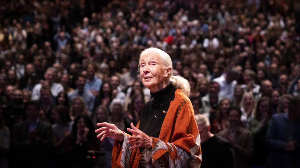 Die britische Verhaltensforscherin Jane Goodall, hier bei einem Vortrag in den Niederlanden 2023