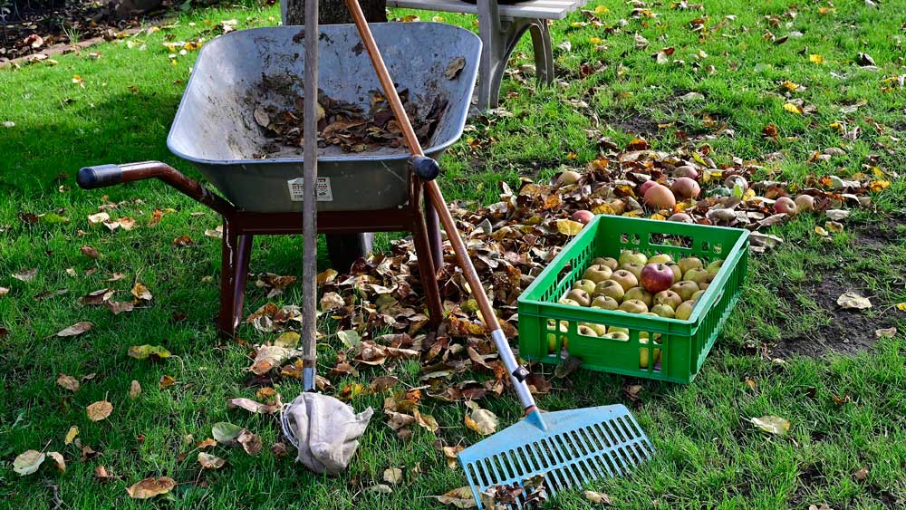 Garten im Herbst