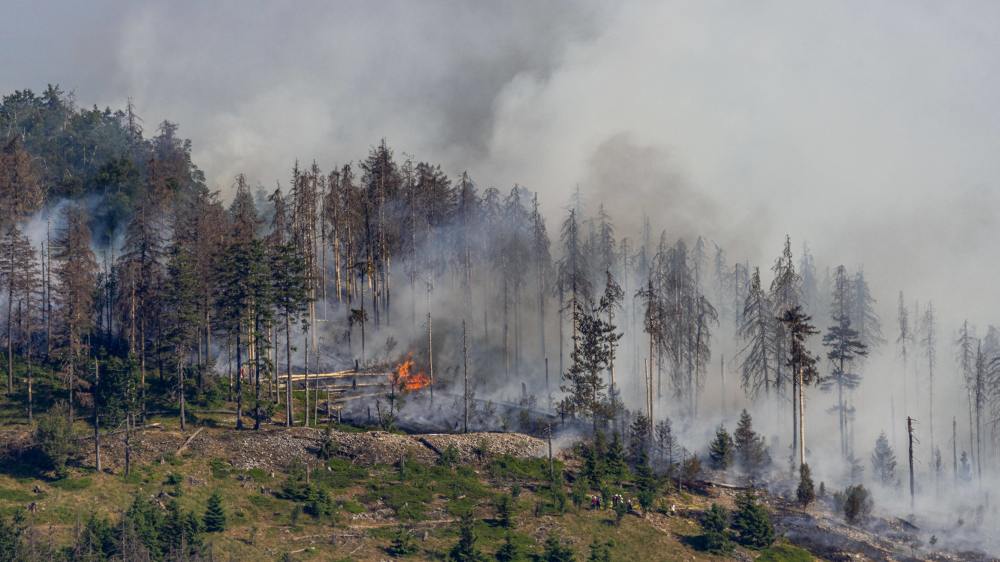 Waldbrand am Alkönig im Taunus (Hessen)