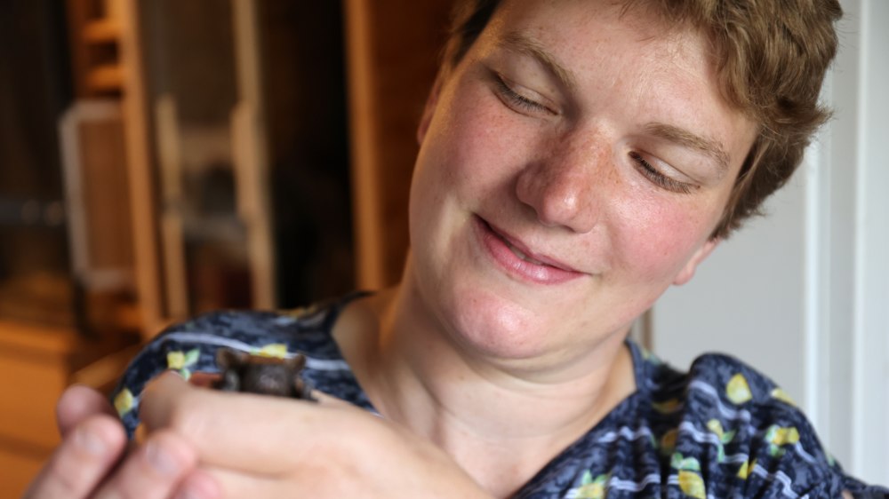Manche Fledermaus-Babys zieht Kaija Spruck mit der Hand auf.