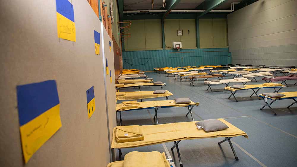 Image - 372.000 Menschen wegen Wohnungslosigkeit von Behörden untergebracht