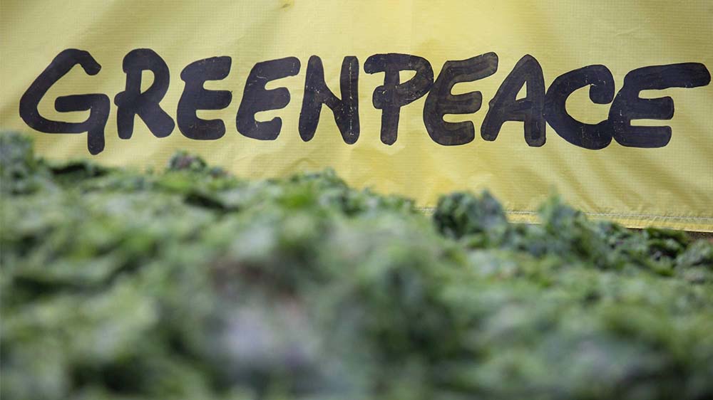 Greenpeace muss nach Protesten gegen die Dakota-Access-Pipeline Millionen-Dollar-Schadenersatz an Energy Transfer zahlen