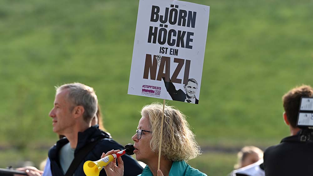 Mit dieser gerichtsfesten Aussage demonstriert eine Frau während des AfD-Parteitags in Magdeburg