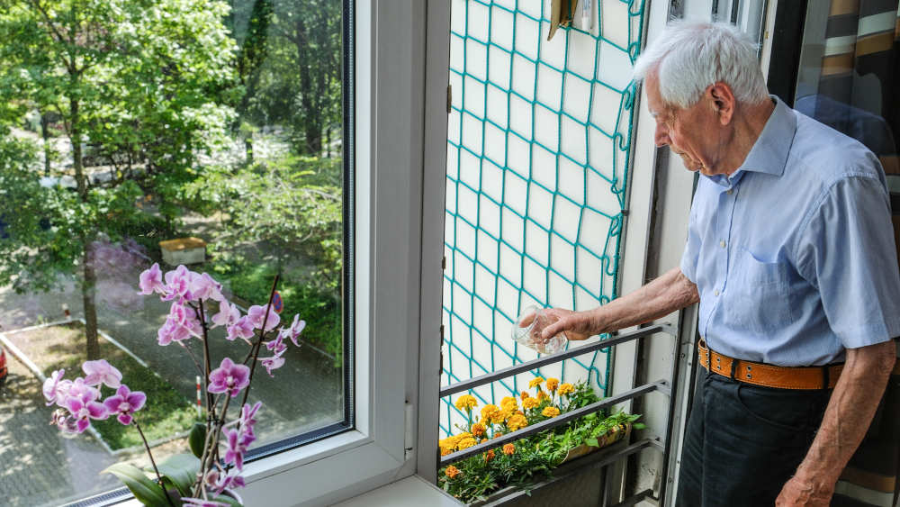 Image - Ukrainischer Holocaust-Überlebender: Eine Flucht ins Land der Täter