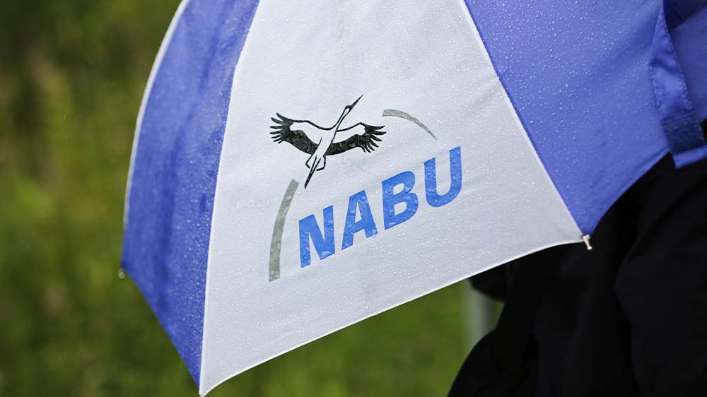 Der Naturschutzbund (Nabu) hatte 2022 einen Spendenrückgang