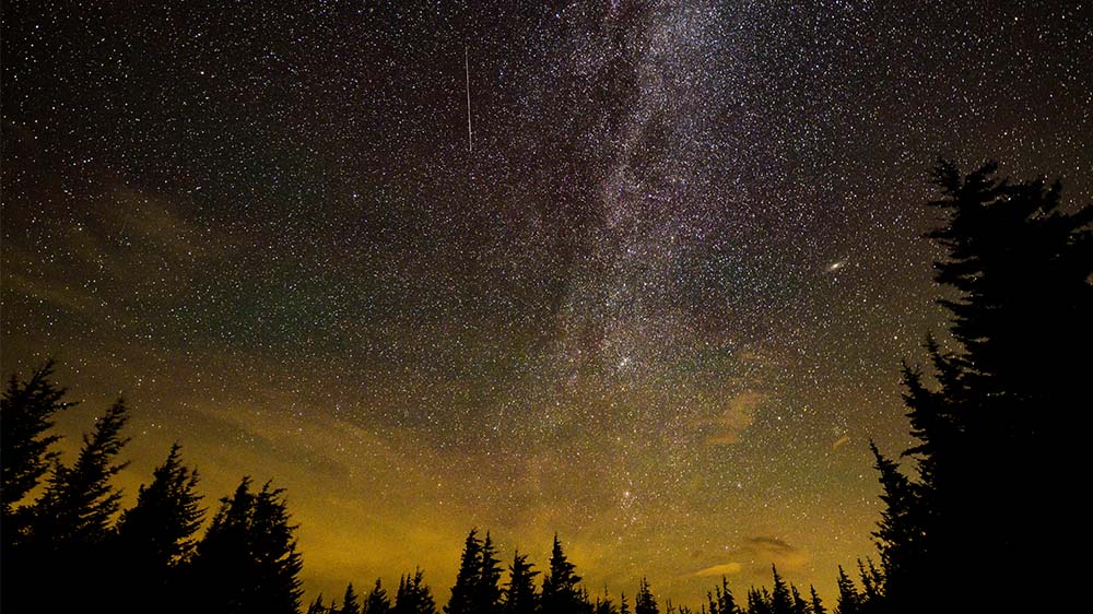 Im August können viele Sternschnuppen beobachten
