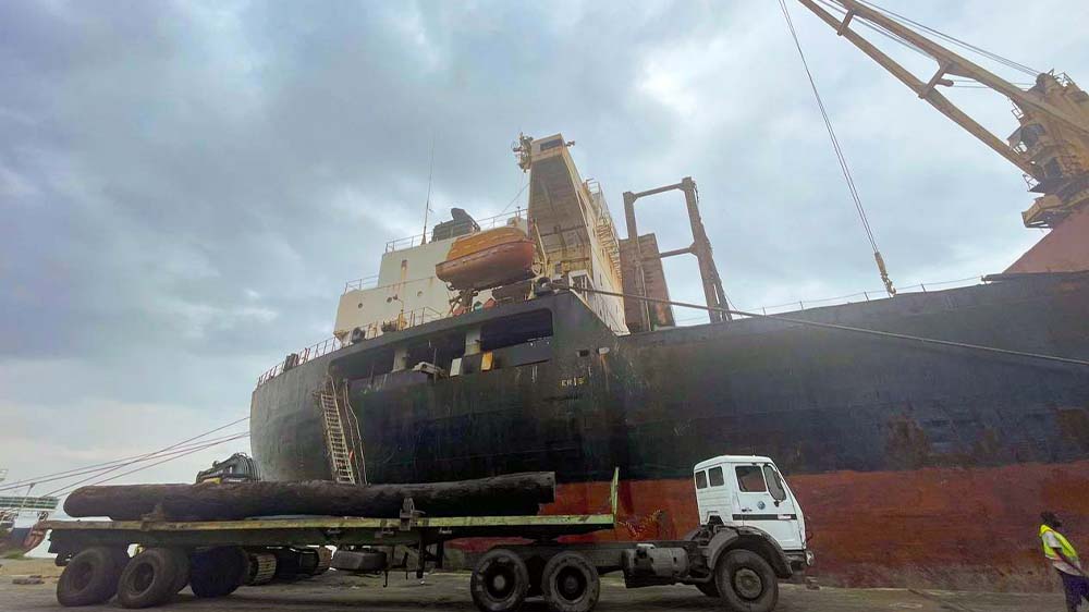 Tropische Hölzer werden im Hafen von Douala auf ein Frachtschiff verladen. Sie machen in Kamerun 10 Prozent des Exports aus