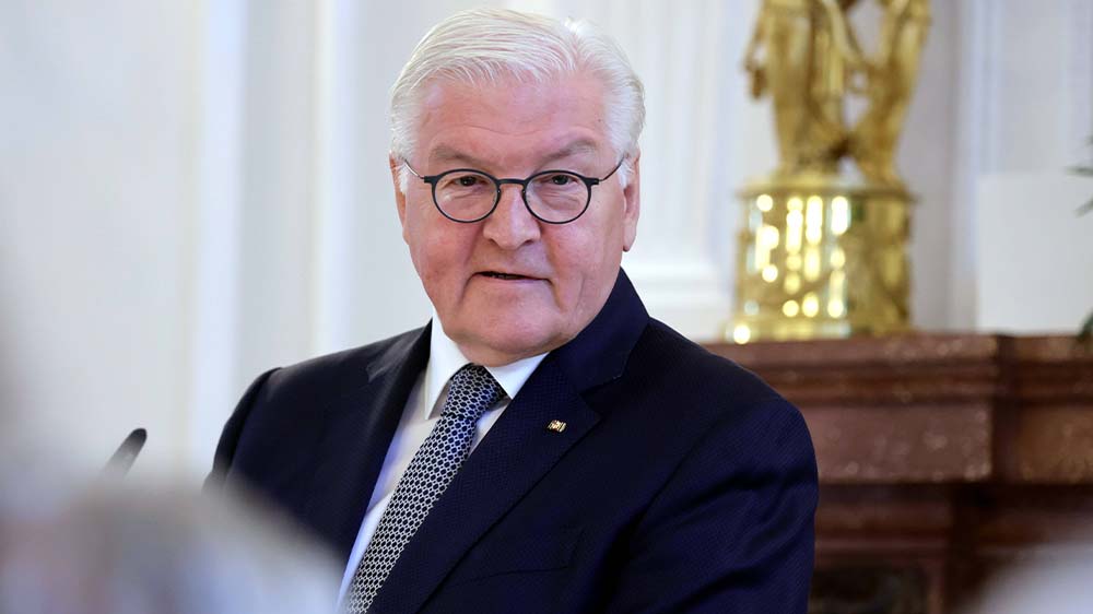 Bundespräsident Frank-Walter Steinmeier (Archiv)