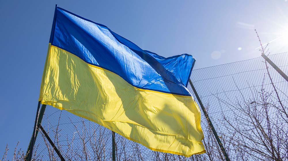 Image - Deutschland beherbergt die meisten Ukraine-Flüchtlinge in der EU