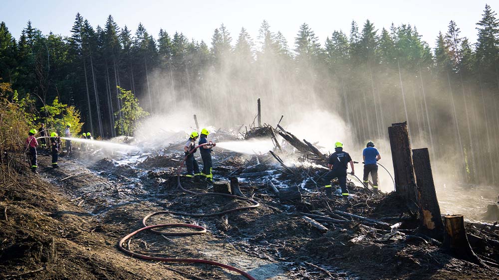 Wegen Kohlestücke einer Shisha kam es 2022 zu einem Waldbrand in der sächsischen Schweiz (Symbolbild)