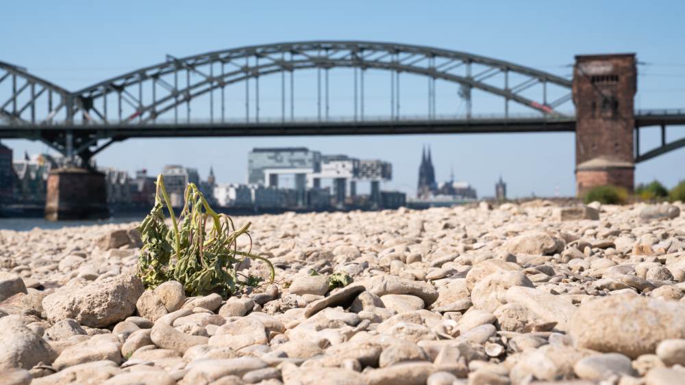 Folgen der Klimakrise nehmen die meisten wahr - Niedrigwasser am Rhein in Köln