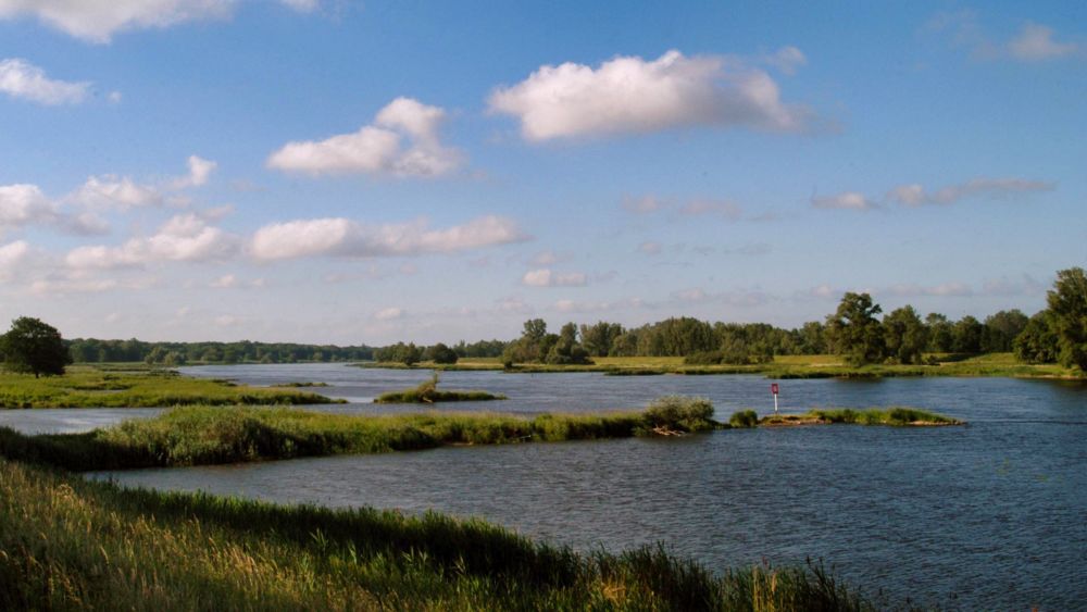 Naturschutzgebiet auf der polnischen Seite der Oder