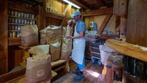 Junger Mann steht in einer Mühle und füllt Mehl in Säcke ab 