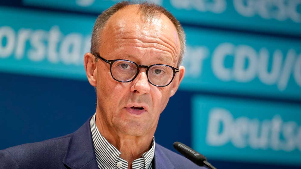 Ein guter Rat: Der künftige Kanzler Friedrich Merz sollte sich mit TV-Stars umgeben