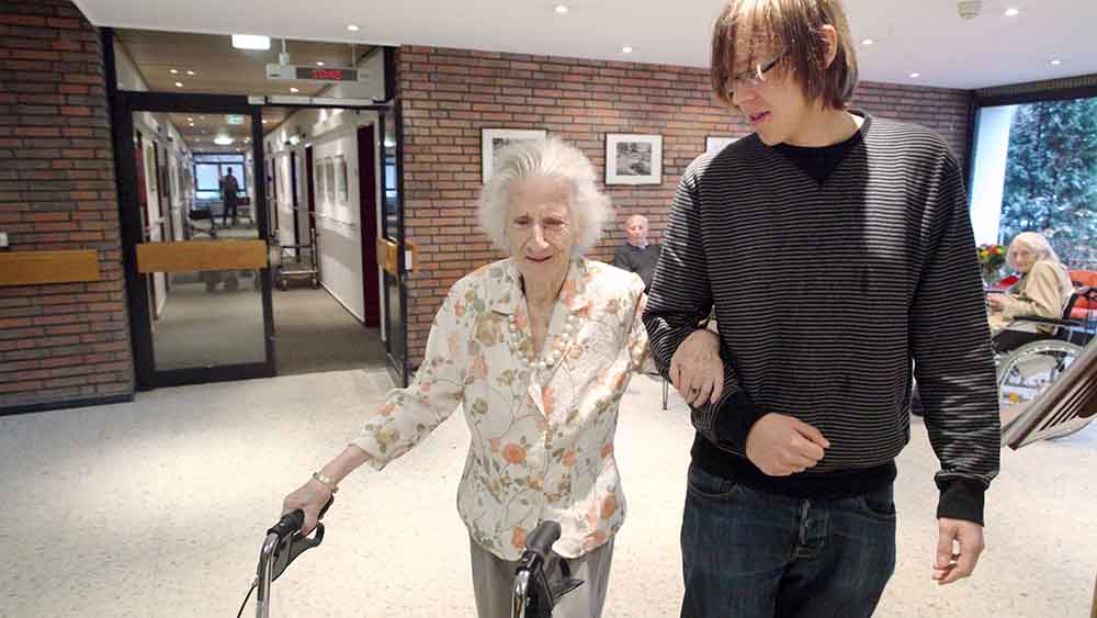 Image - FDP lehnt Steinmeiers Vorschlag zum Pflichtdienst ab