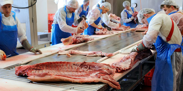 Image - Vom unheilvollem Aufbruch des Homo sapiens