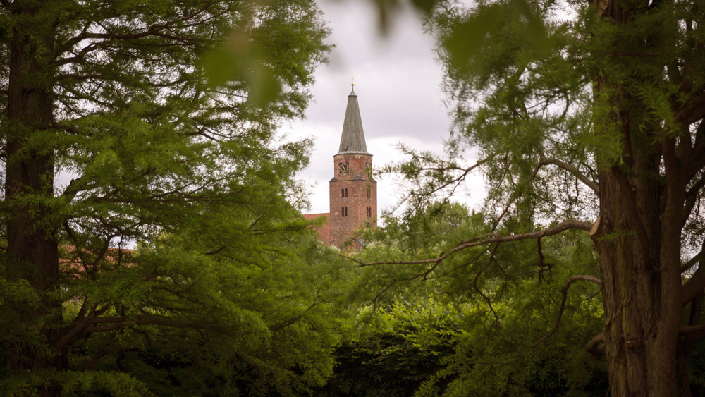 Dom Sankt Peter und Paul in Brandenburg