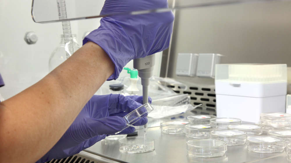 Neueste Forschungsergebnisse werfen eine Fülle von Fragen beim Embryonenschutzgesetz auf