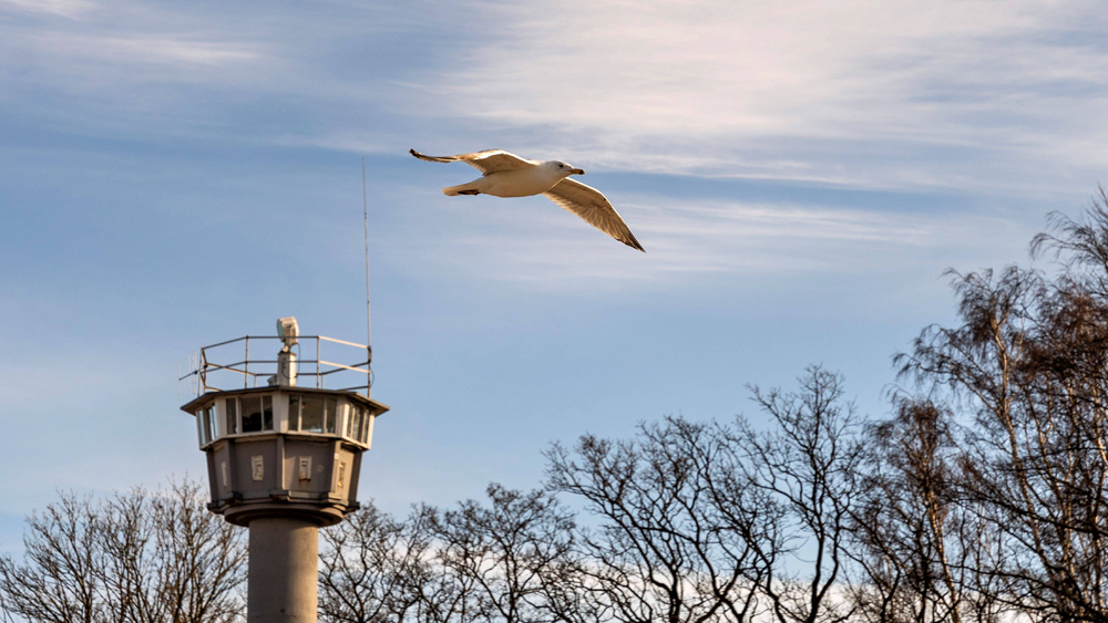 Kühlungsborn an der Ostsee mit Wachturm und Möwe