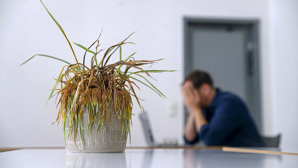 Betroffene Mitarbeitende nicht allein lassen – das ist wichtig bei der Trauer im Büro