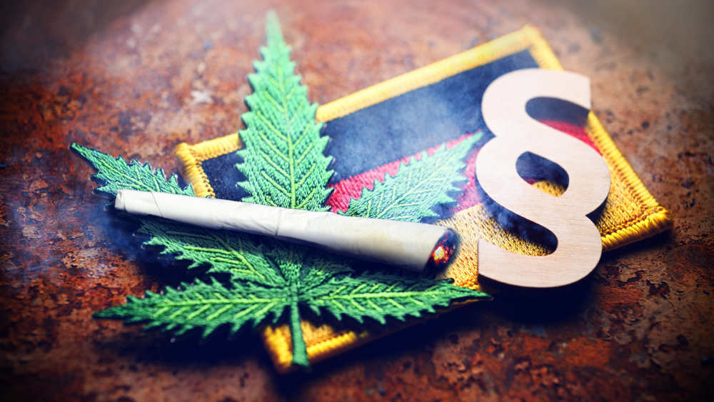 Image - Freier Rausch? Die geplante Cannabis-Legalisierung ist umstritten