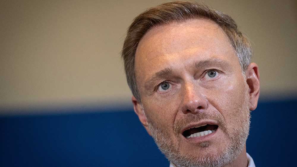 Image - Lindner bremst weiter bei Kindergrundsicherung