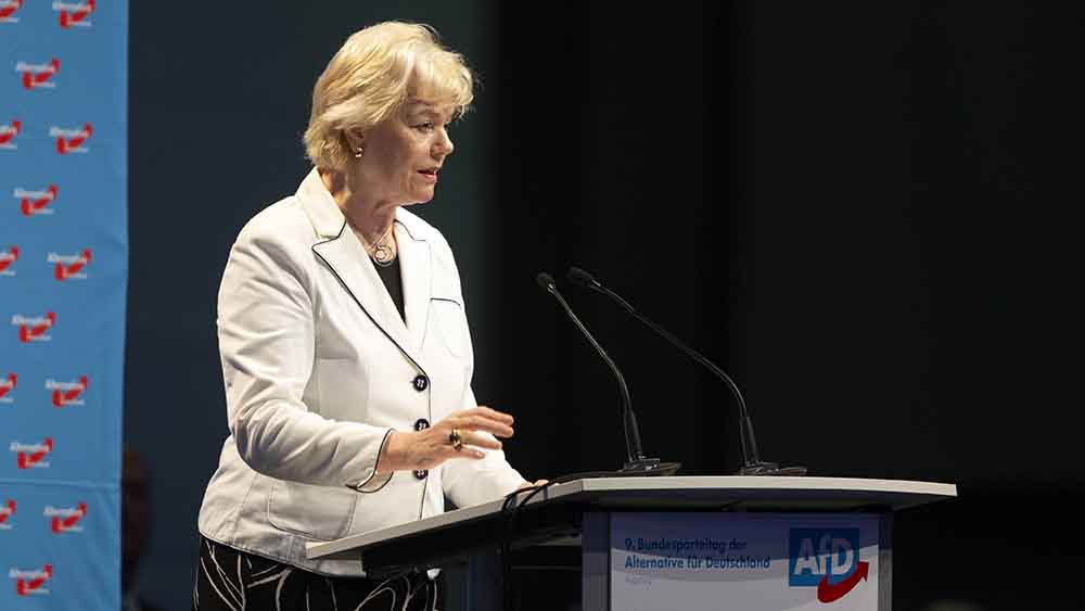 Erika Steinbach ist die Vorsitzende der Desiderius-Erasmus-Stiftung