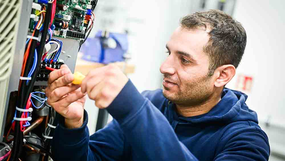 Image - Malteser-Bericht: Aufschwung am Arbeitsmarkt dank Flüchtlingen