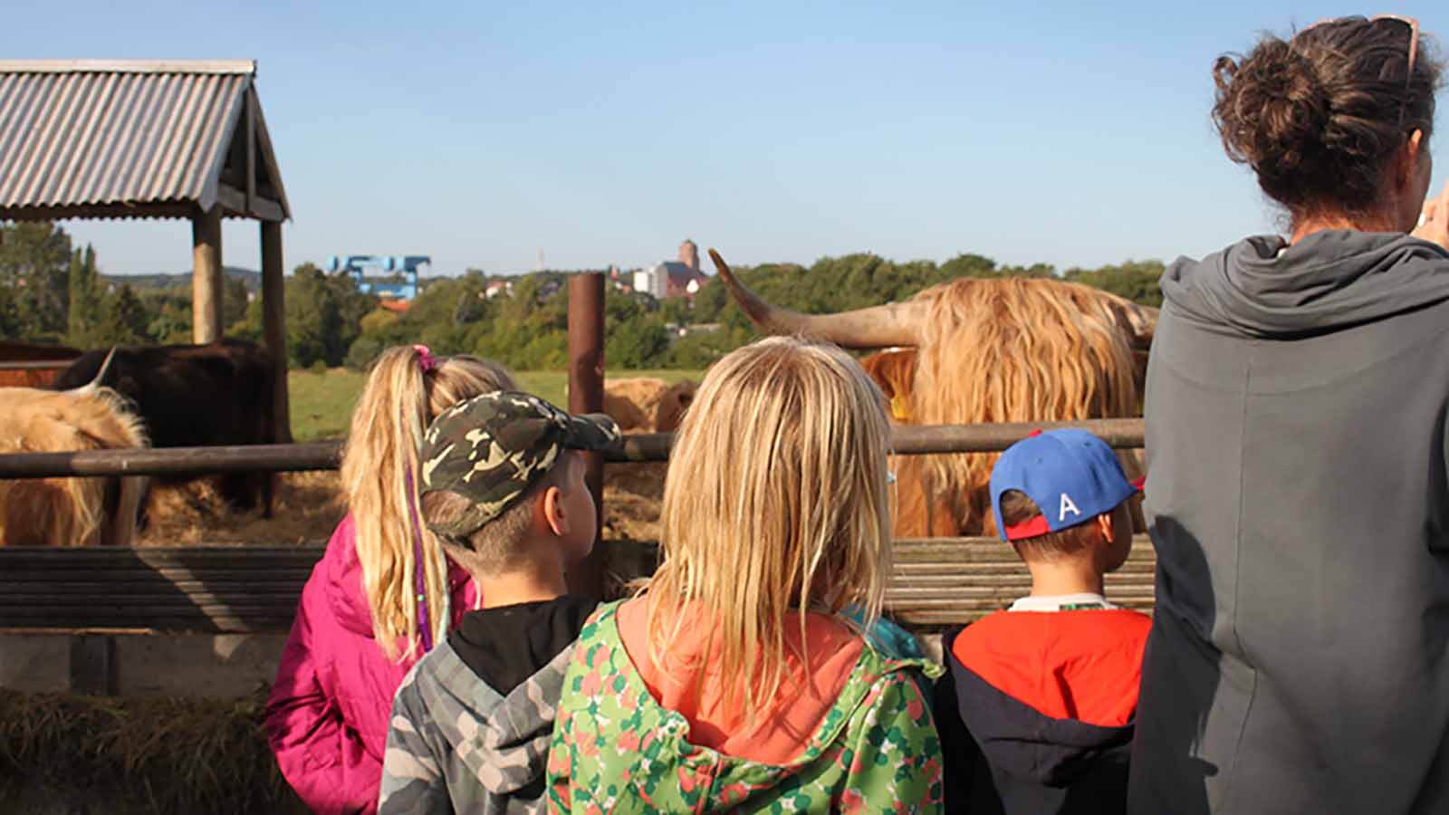 Image - Die Evangelische Schule in Wolgast ermöglicht selbständiges Lernen