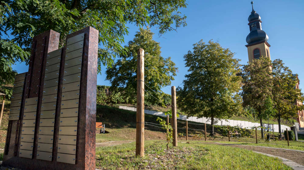 Friedwingert und Friedwald in Nackenheim