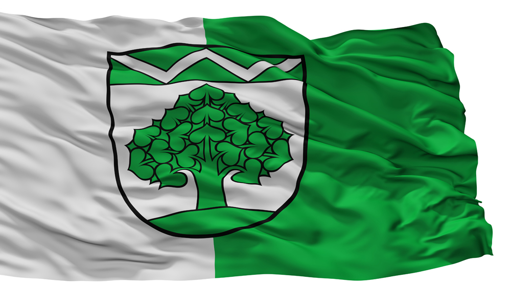 Stadtfahne des Ortes Werneuchen mit Baum