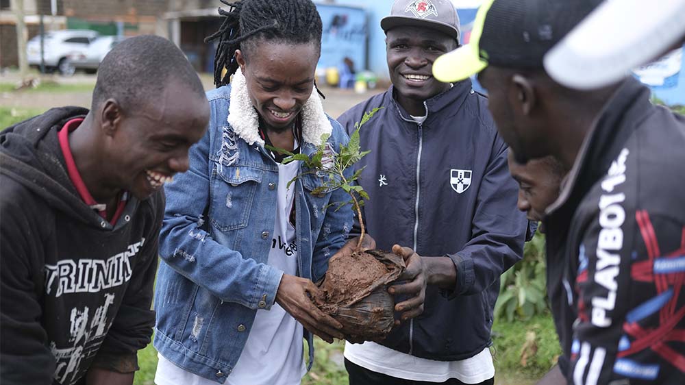 Ganz Kenia hat am 13. November frei - und soll 100 Millionen Bäume pflanzen
