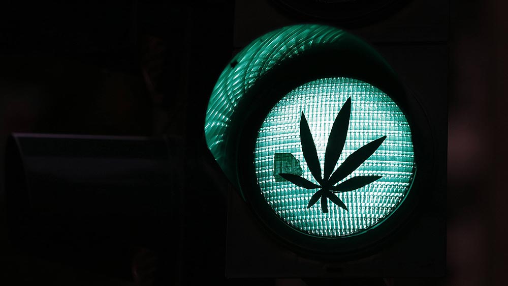 Die Ampelregierung gibt grünes Licht für Cannabis