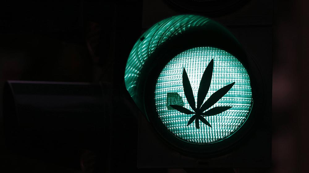 Auf einer grünen Verkehrsampel klebt ein Aufkleber einer Cannabispflanze