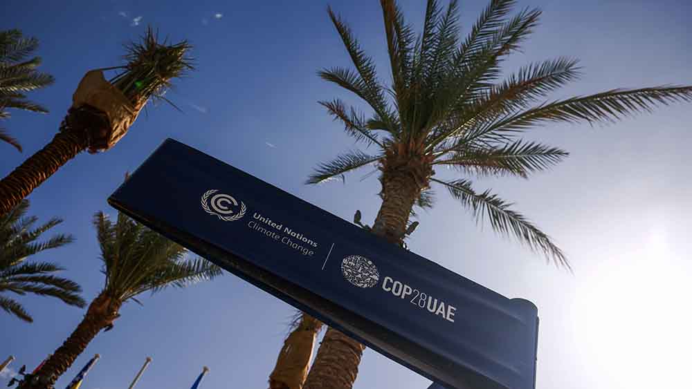 Auf einem blauen Schild steht "GOP 28", dahinter eine Palme