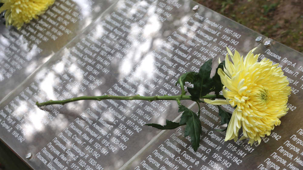 Image - Max Stehlin hat nach 66 Jahren das Grab seines Vaters gefunden