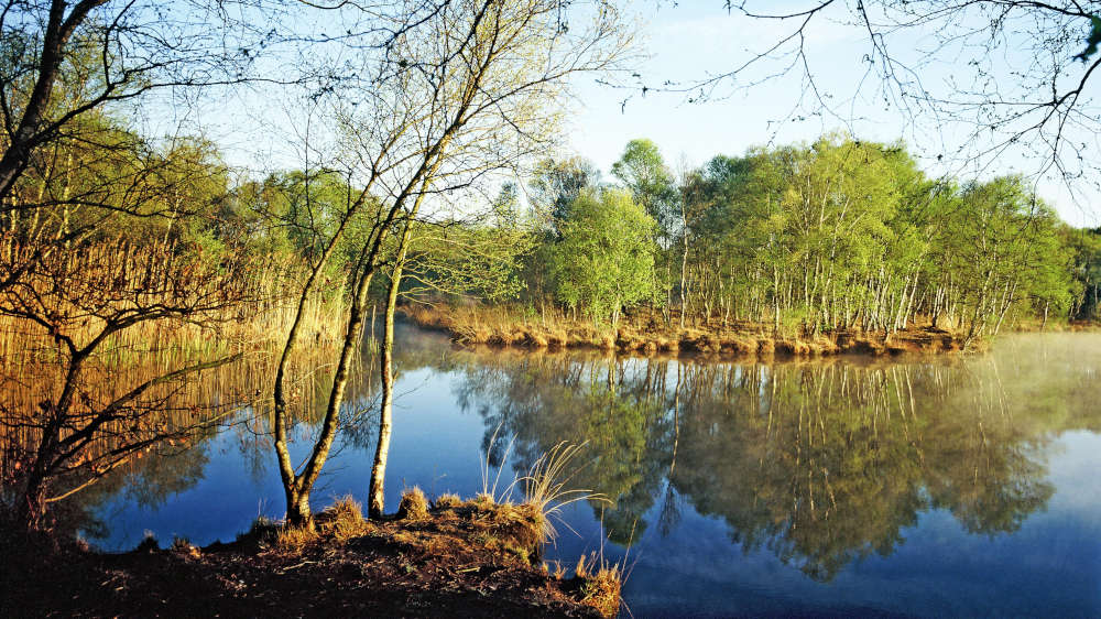 Das Veenhuser Königsmoor in der niedersächsischen Gemeinde Moormerland und der Stadt Leer