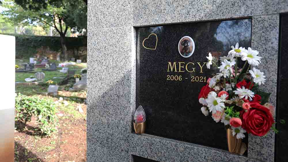 Auf Tierfriedhöfen dürfen Vierbeiner schon länger bestattet werden. Nun gibt es auch eine Kirche