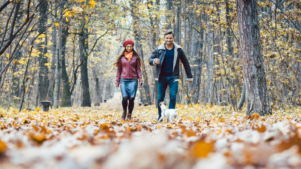 Waldspaziergänge können nach Worten der Psychologin Kast "mystische Momente" entstehen lassen