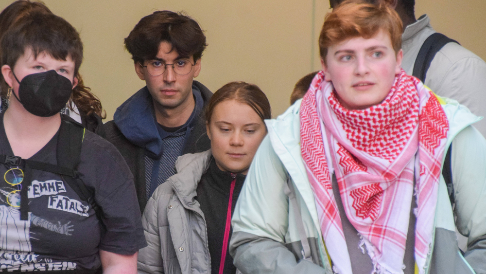 Image - Der Fall der Greta Thunberg